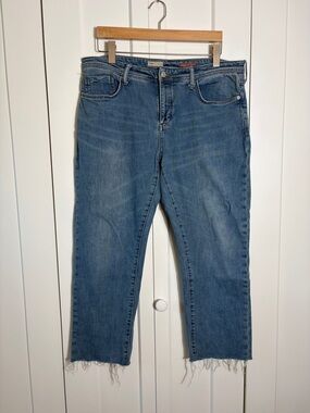 Pilcro Blue Women's Cropped Straight Jeans Size 31